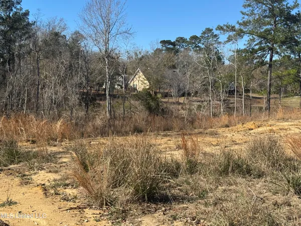 $210,000 | Maluhia Drive, Diamondhead, MS 39525
