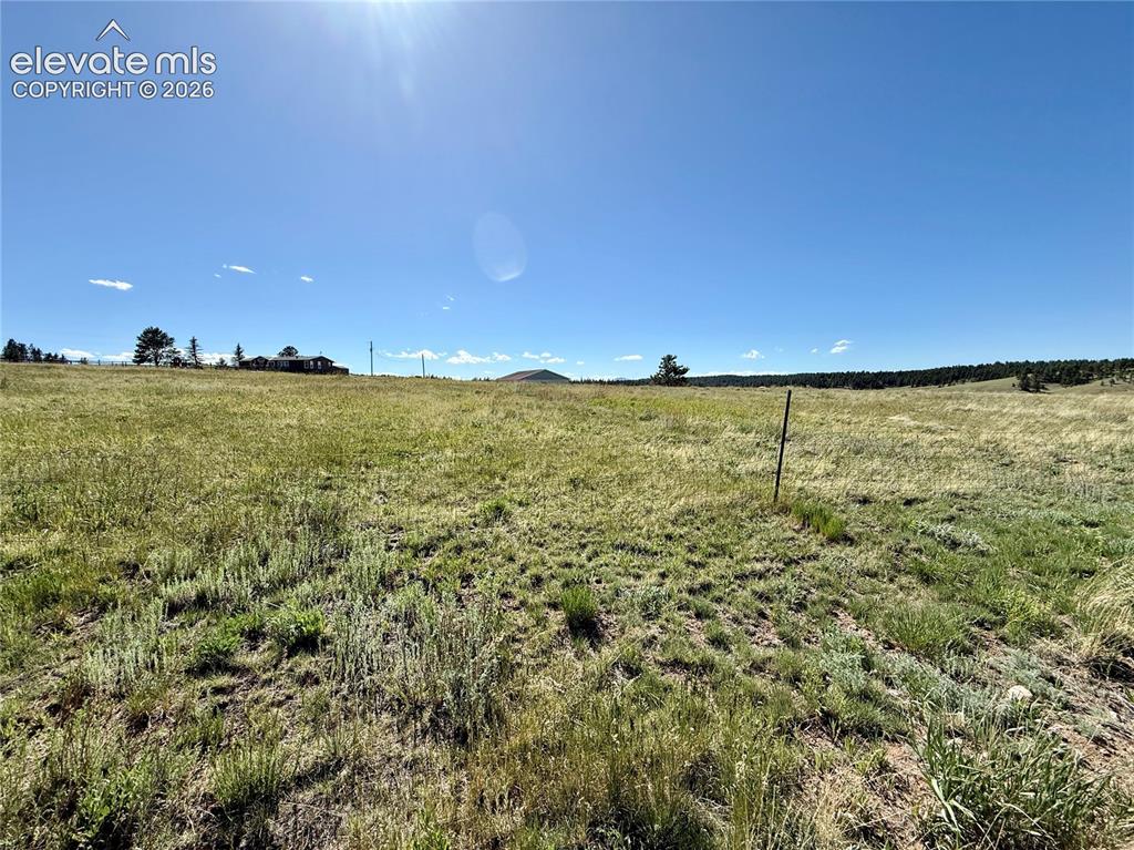 61 Stripling Lane Divide, CO 80814 - Photo 38 of 40