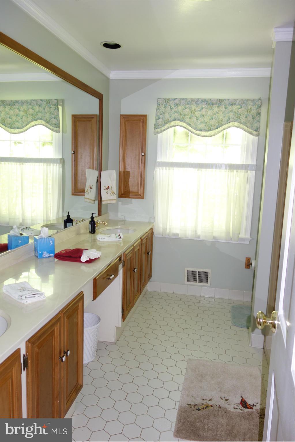 13413 Blythenia Road Phoenix, MD 21131 - Photo 11 of 23 Hall Bath