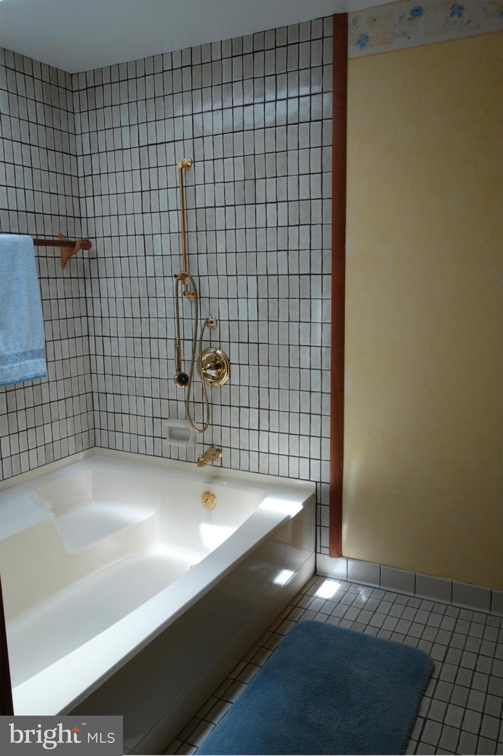 13413 Blythenia Road Phoenix, MD 21131 - Photo 15 of 23 Bath (Master)