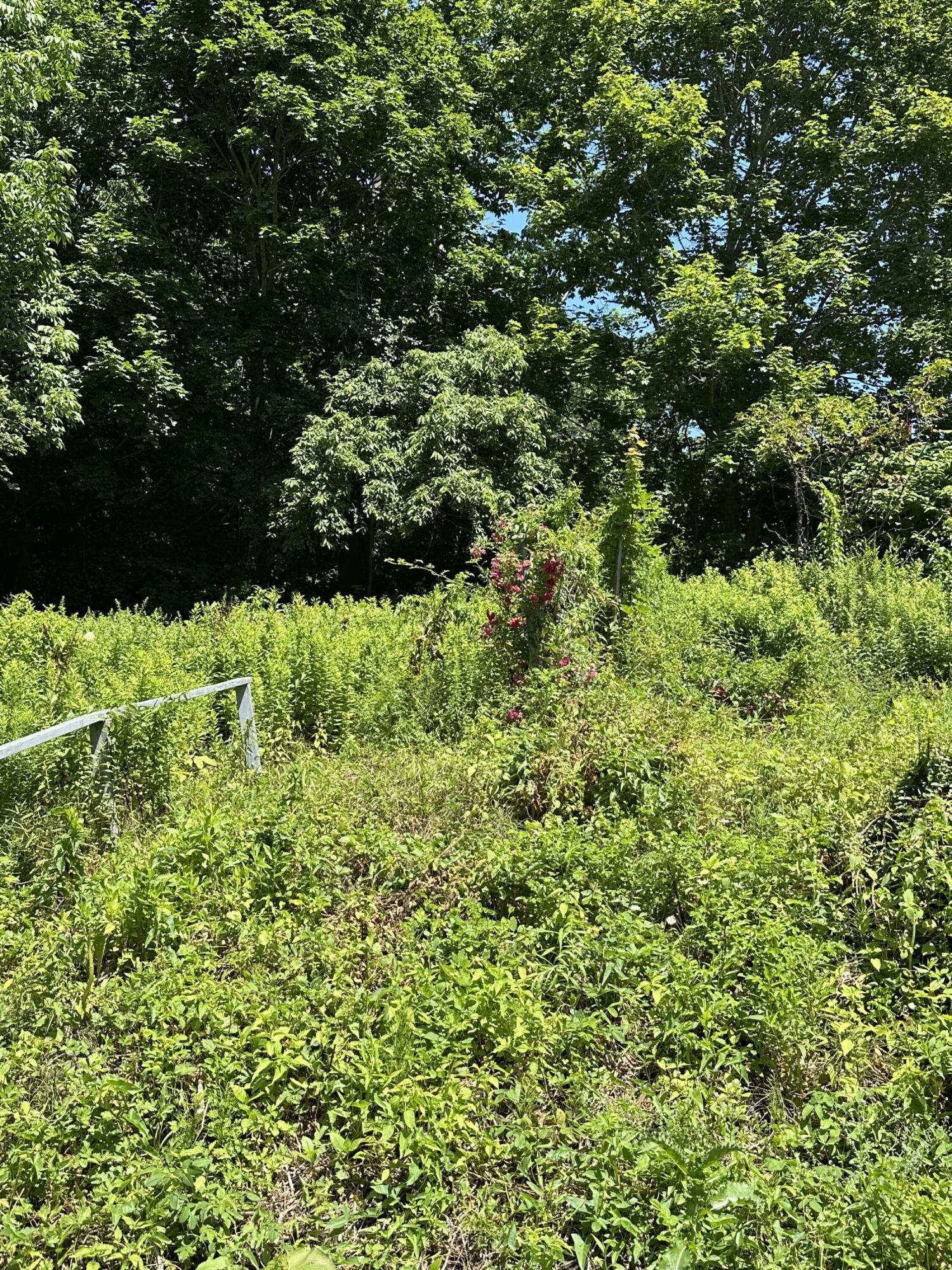 24 Old Rte One Waldoboro, ME 04572 - Photo 39 of 40 Jones11