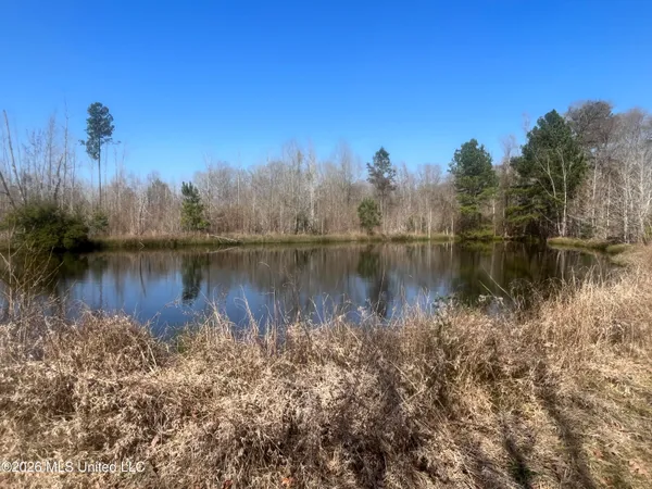 $166,380 | 2104 Highway 51, Bogue Chitto, MS 39629