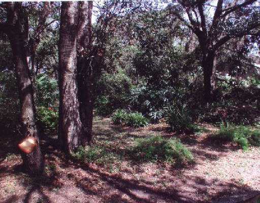 7200 Arthurs Road Fort Pierce, FL 34951 - Photo 1 of 3 Primary Photo