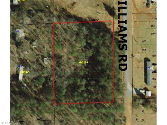 0 Williams Road Ramseur, NC 27316 - Photo 1 of 1 Aerial View.