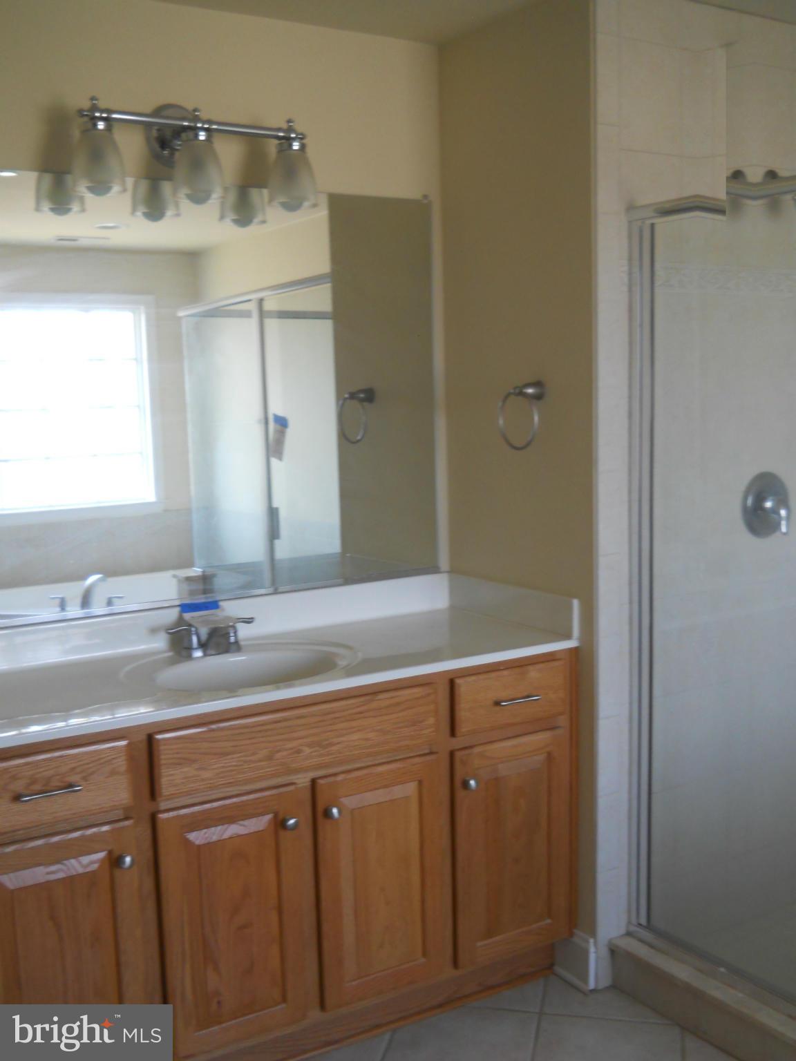 1186 Margath Road Westminster, MD 21157 - Photo 11 of 18 Bath (Master)-photo one