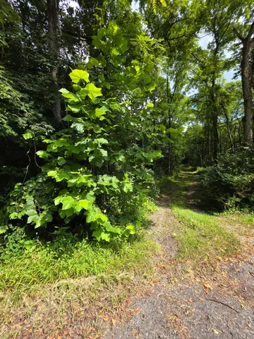 $185,900 | 0 Bethel Ridge Road, Vevay, IN 47043