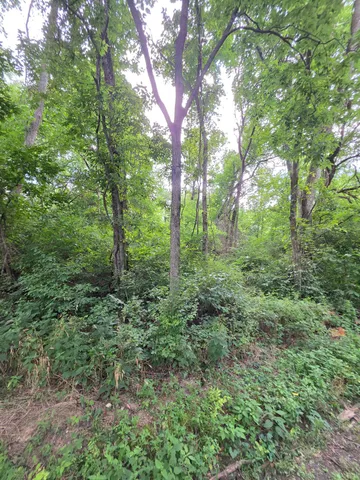 $185,900 | 0 Bethel Ridge Road, Vevay, IN 47043