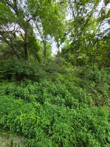 $185,900 | 0 Bethel Ridge Road, Vevay, IN 47043