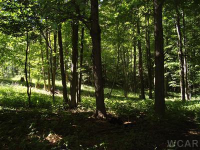 369 Truman Road Barryton, MI 49305 - Photo 4 of 4 Additional Photo