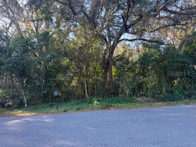 4547 C R 692 Webster, FL 33597 - Photo 19 of 37