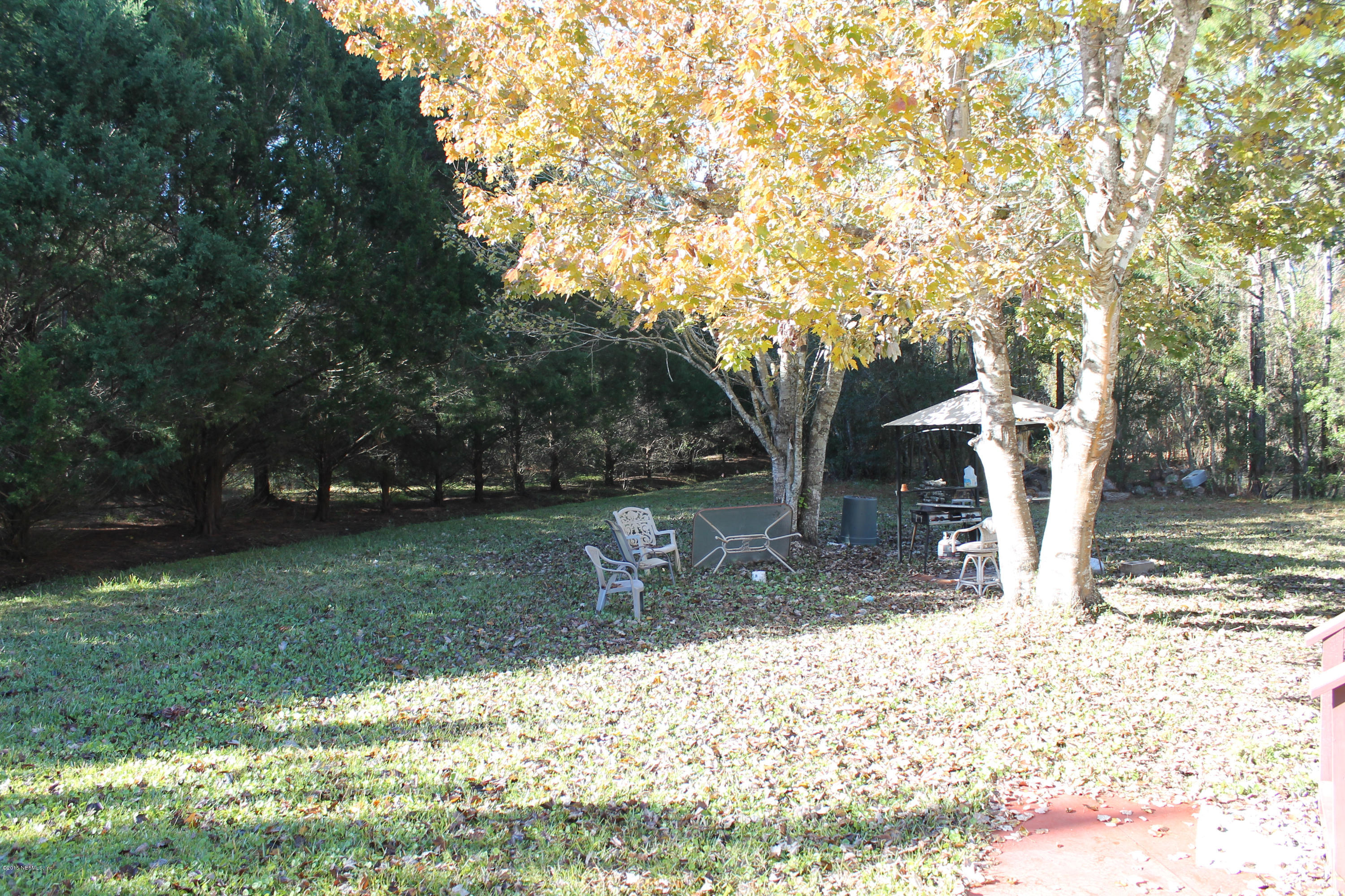 5697 Datil Pepper Road St. Augustine, FL 32086 - Photo 13 of 16 a view of a yard with plants and trees