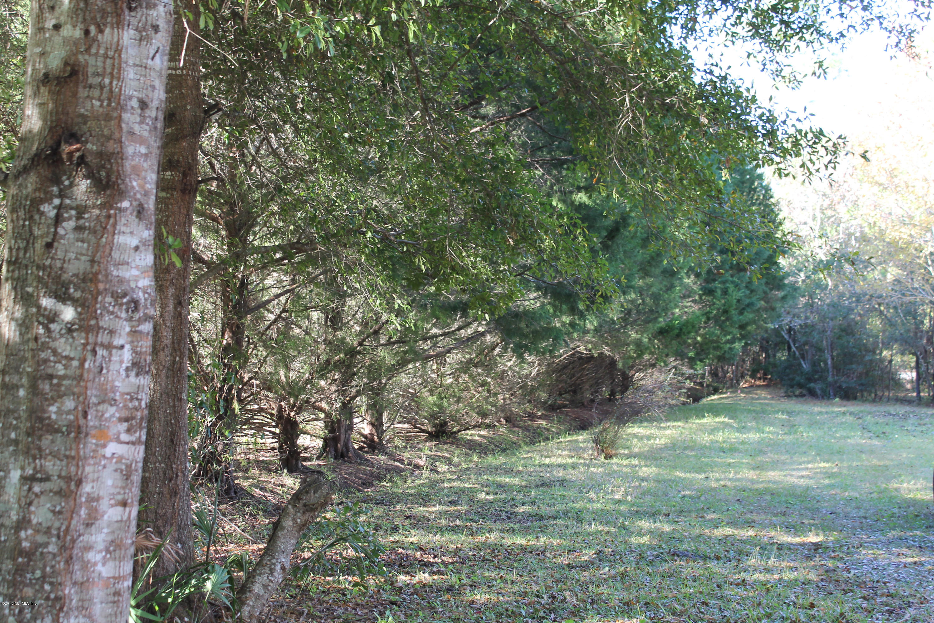 5697 Datil Pepper Road St. Augustine, FL 32086 - Photo 4 of 16 a big yard with lots of green space and plants