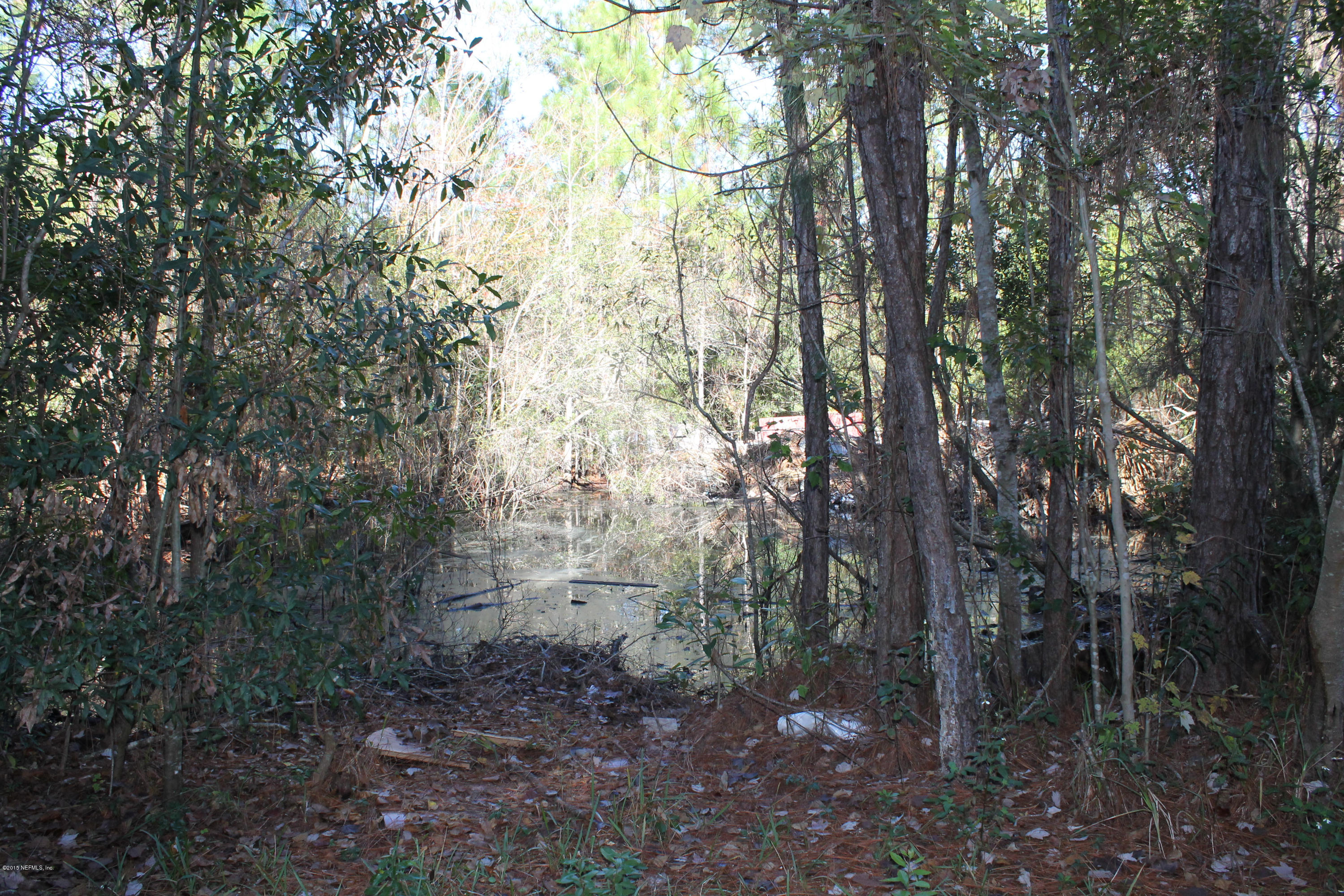 5697 Datil Pepper Road St. Augustine, FL 32086 - Photo 9 of 16 a view of a forest with trees in the background