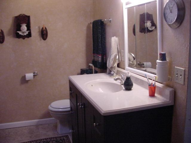 3518 Buck Mountain Road Roanoke, VA 24018 - Photo 12 of 22 master bathroom