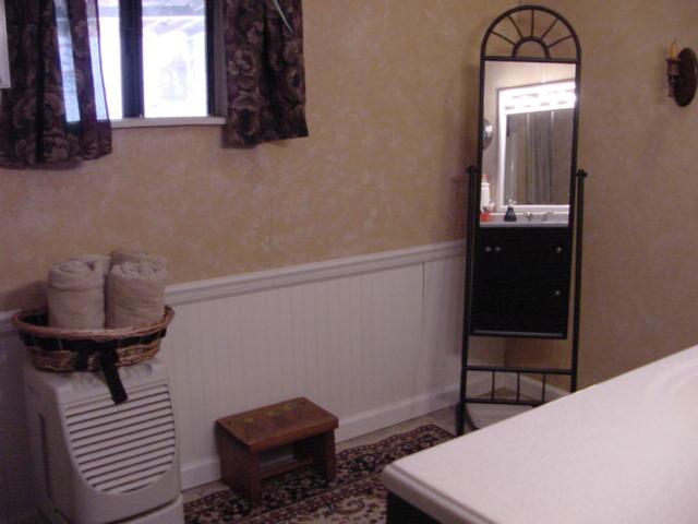 3518 Buck Mountain Road Roanoke, VA 24018 - Photo 13 of 22 master bathroom 2