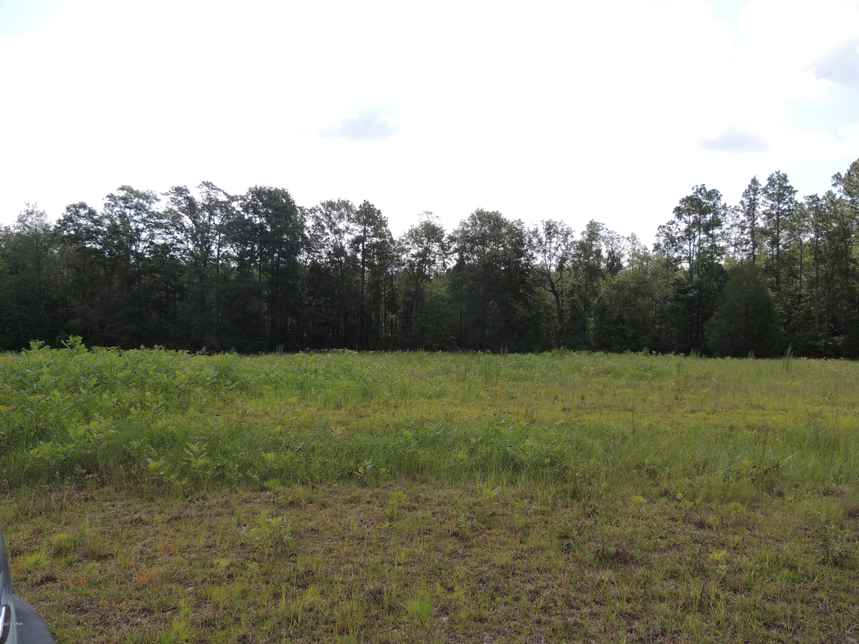 0 Birch Road Graceville, FL 32440 - Photo 3 of 8
