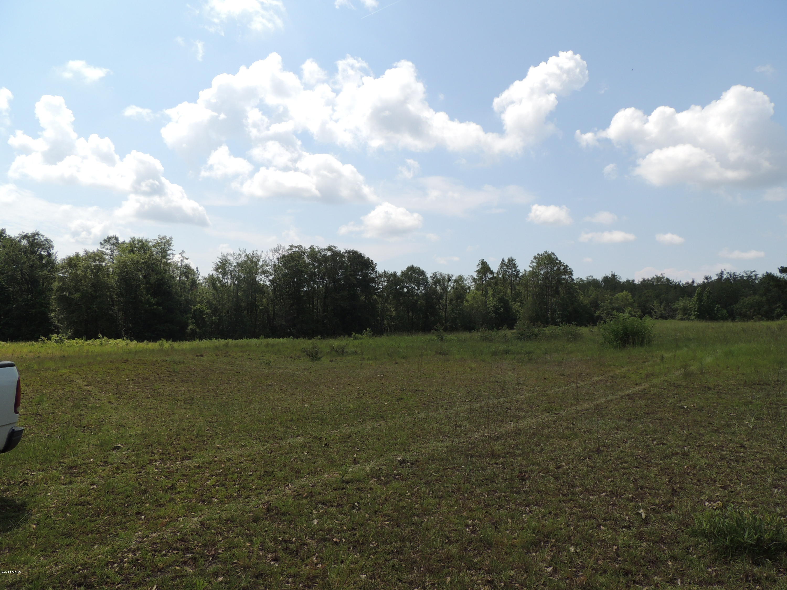 0 Birch Road Graceville, FL 32440 - Photo 6 of 8