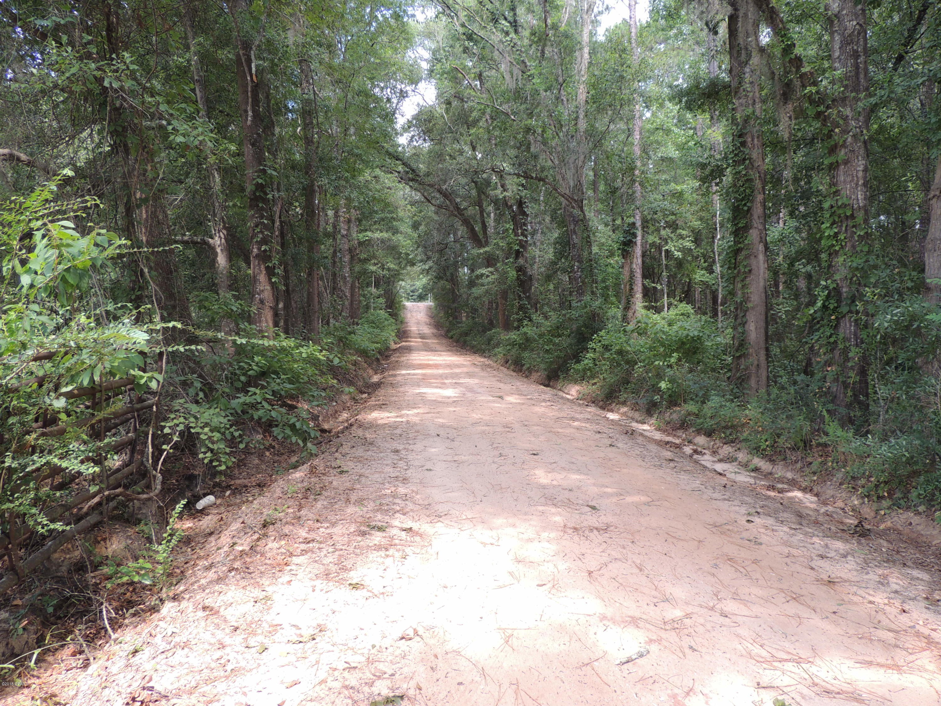 0 Birch Road Graceville, FL 32440 - Photo 8 of 8