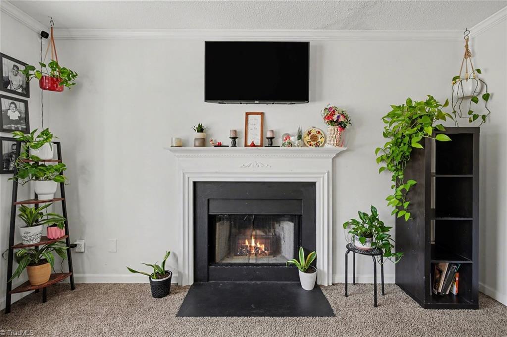 3904 Riverdale Road Greensboro, NC 27406 - Photo 21 of 25 Fireplace