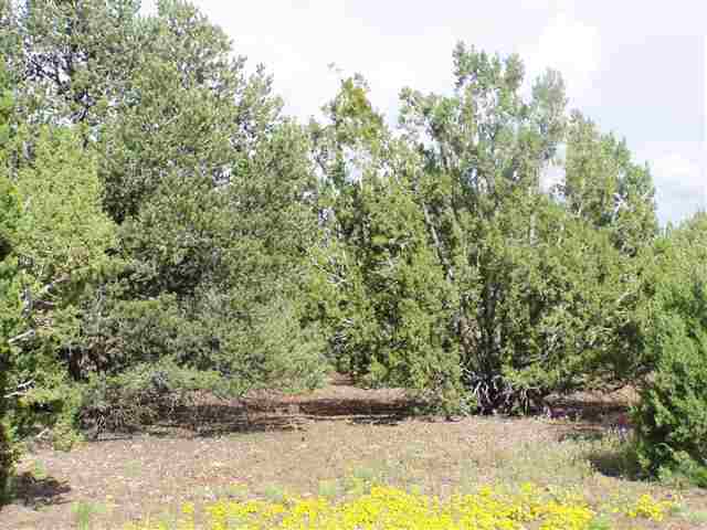 Lot 32 Ricks Road Concho, AZ 85924 - Photo 2 of 5 Gallery Image 2
