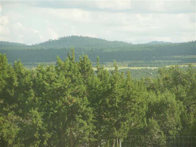 Lot 32 Ricks Road Concho, AZ 85924 - Photo 3 of 5 Gallery Image 3