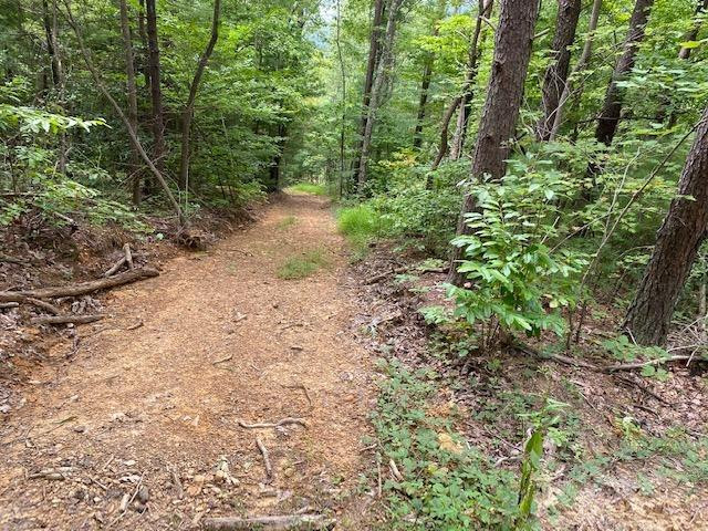 0 Hiram Branch Road Campton, KY 41301 - Photo 6 of 29 Photo 6