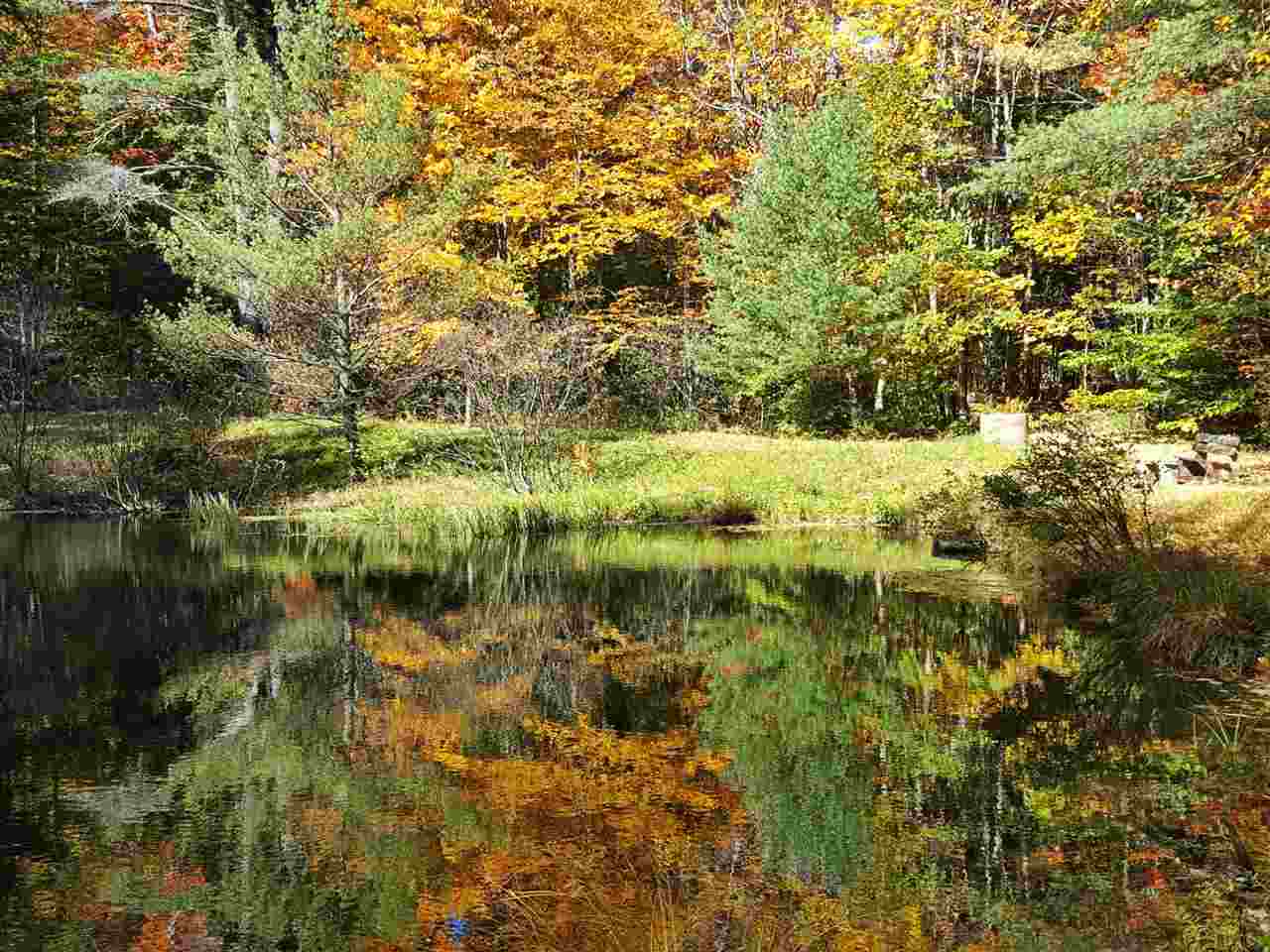 224-47 East Deering Road Deering, NH 03244 - Photo 1 of 6 Gallery Image 1
