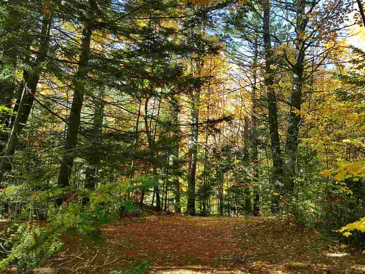 224-47 East Deering Road Deering, NH 03244 - Photo 2 of 6 Gallery Image 2