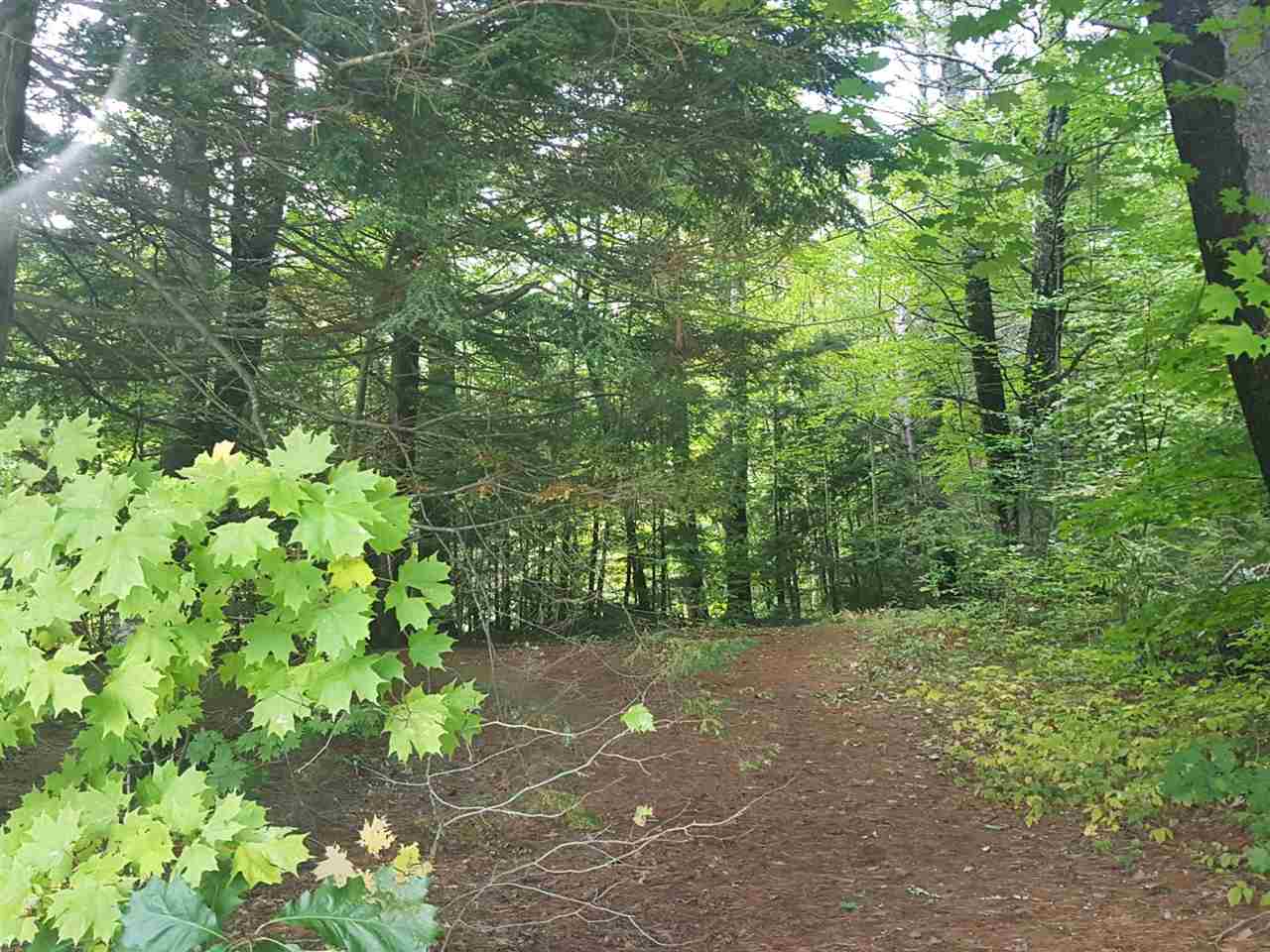 224-47 East Deering Road Deering, NH 03244 - Photo 4 of 6 Gallery Image 4