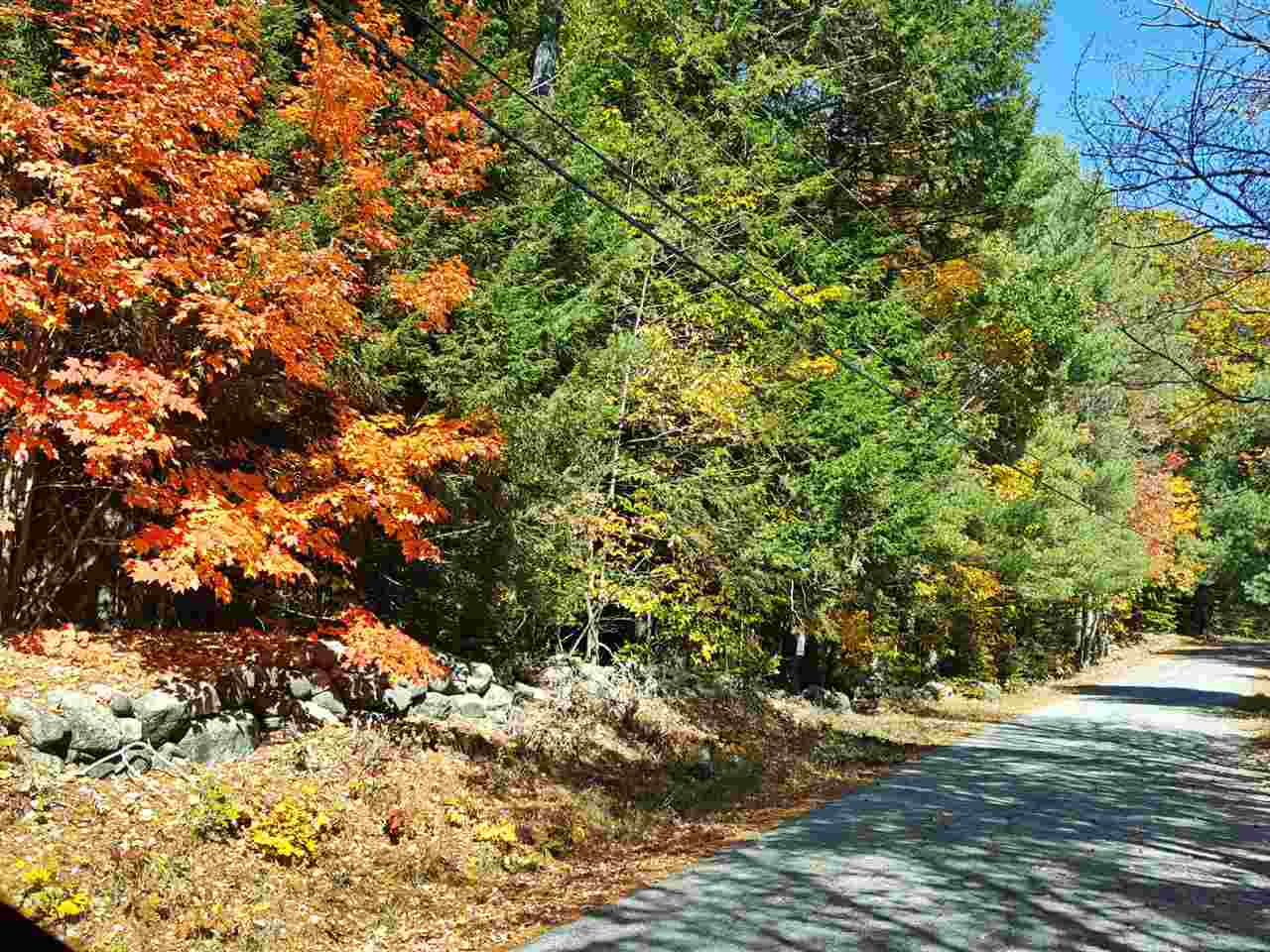 224-47 East Deering Road Deering, NH 03244 - Photo 6 of 6 Gallery Image 6