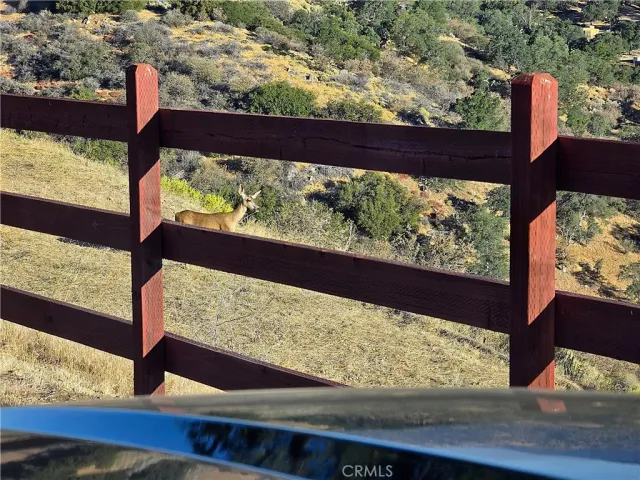 a view of a yard with wooden fence