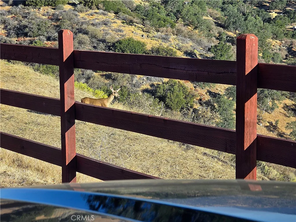 0 Zurich Tehachapi, CA 93561 - Photo 9 of 51 ...but, you'll need to share with the locals.