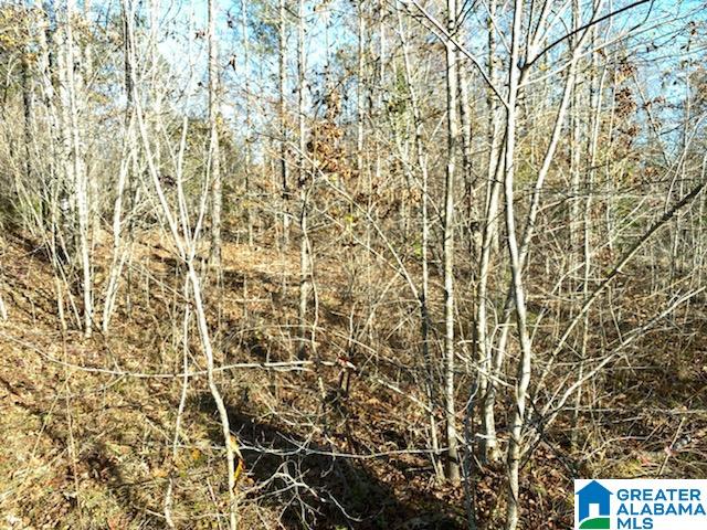 0 Chelsea Rdg Drive, Unit 2 Columbiana, AL 35051 - Photo 2 of 2