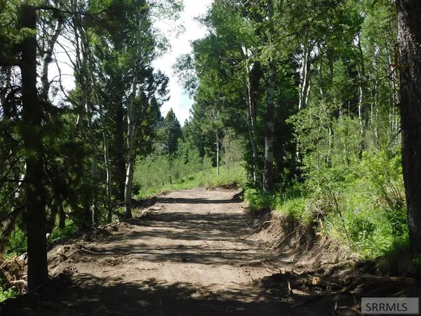 $595,000 | 4907 Shadow Wood Island Park, Island Park, ID 83429