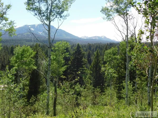 $595,000 | 4907 Shadow Wood Island Park, Island Park, ID 83429