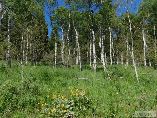 $595,000 | 4907 Shadow Wood Island Park, Island Park, ID 83429