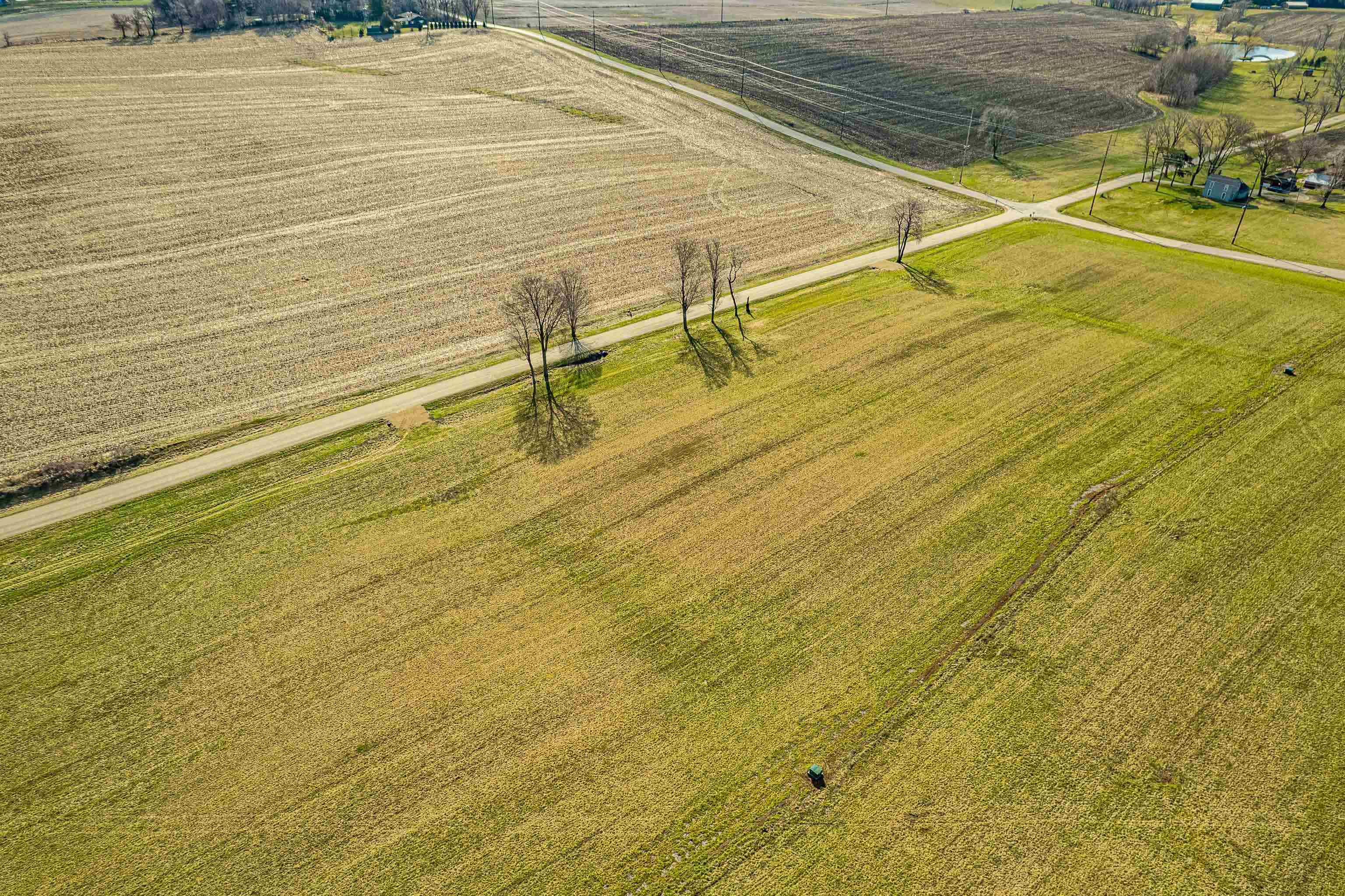 Lot 8 Jeffery Monroe, WI 53566 - Photo 11 of 16