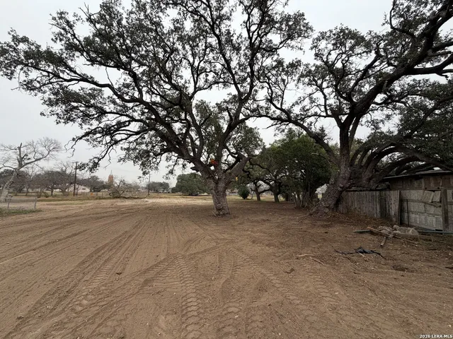 a view of dirt yard with a tree