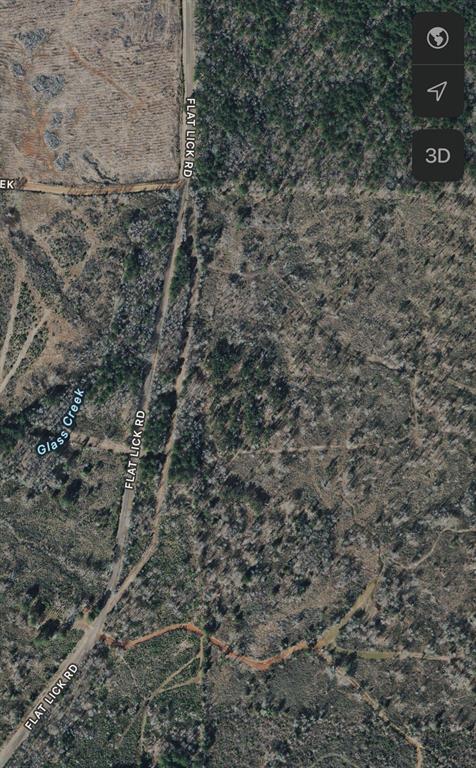 0 Flat Lick Road Homer, LA 71040 - Photo 5 of 6 a closeup of a plant