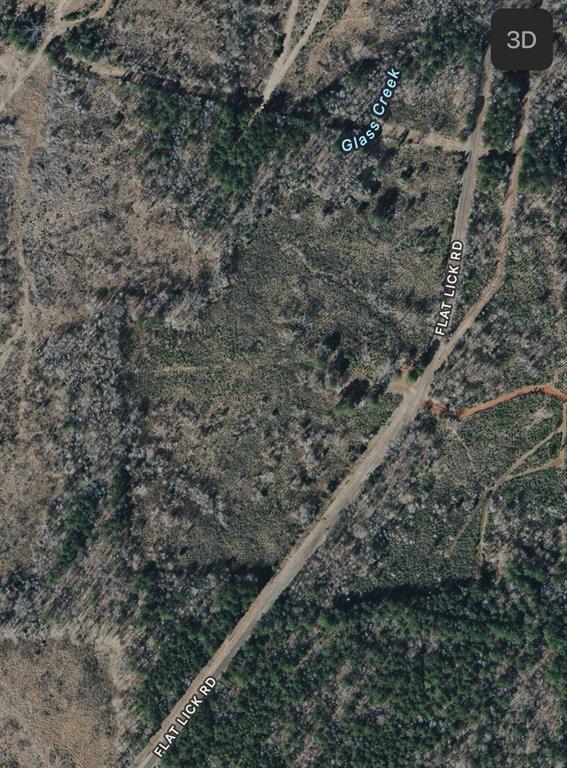 0 Flat Lick Road Homer, LA 71040 - Photo 6 of 6 a close up of a plant in a forest