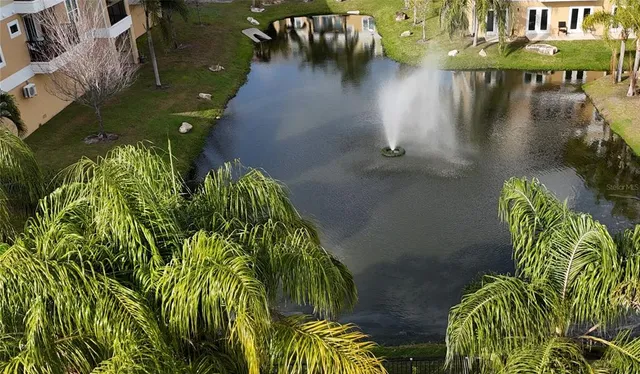 a view of banana garden