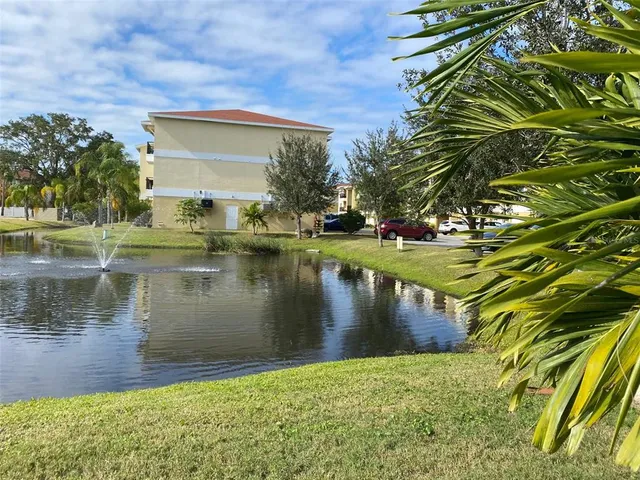 a view of a tree with plants