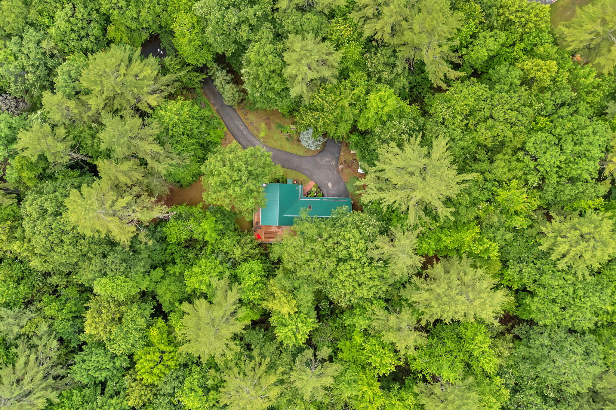 44 Pine Trail Dedham, ME 04429 - Photo 79 of 90 86-web-or-mls-44-pine-trail