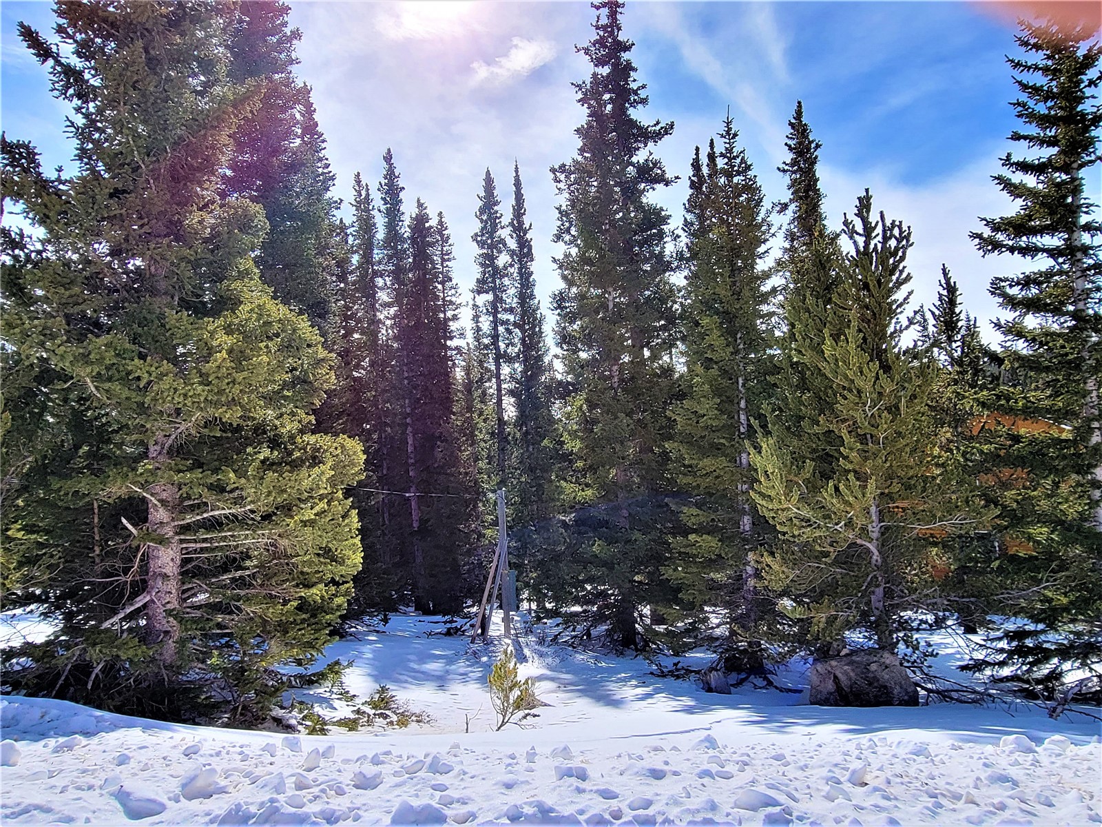 22 Ron's Road Alma, CO 80420 - Photo 14 of 27 View of snowy landscape