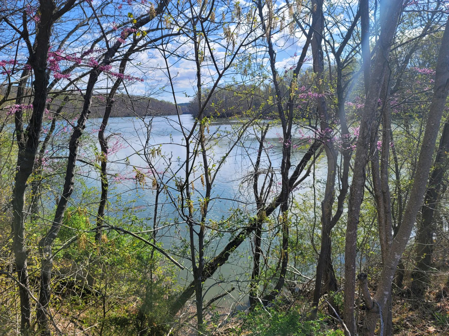 Tolers Ferry Road Pittsville, VA 24139 - Photo 7 of 12 From Lot 2