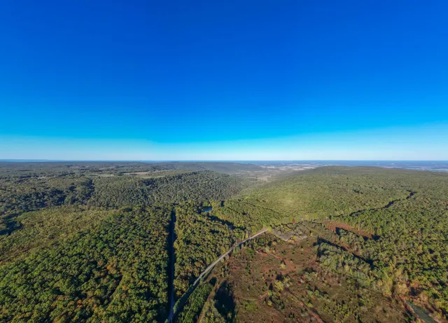 a view of backyard with tree