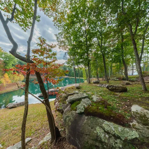 a view of a yard with wooden fence