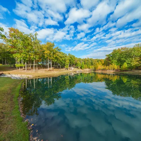 a view of a backyard with large trees