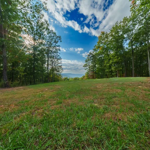 a view of a house with backyard