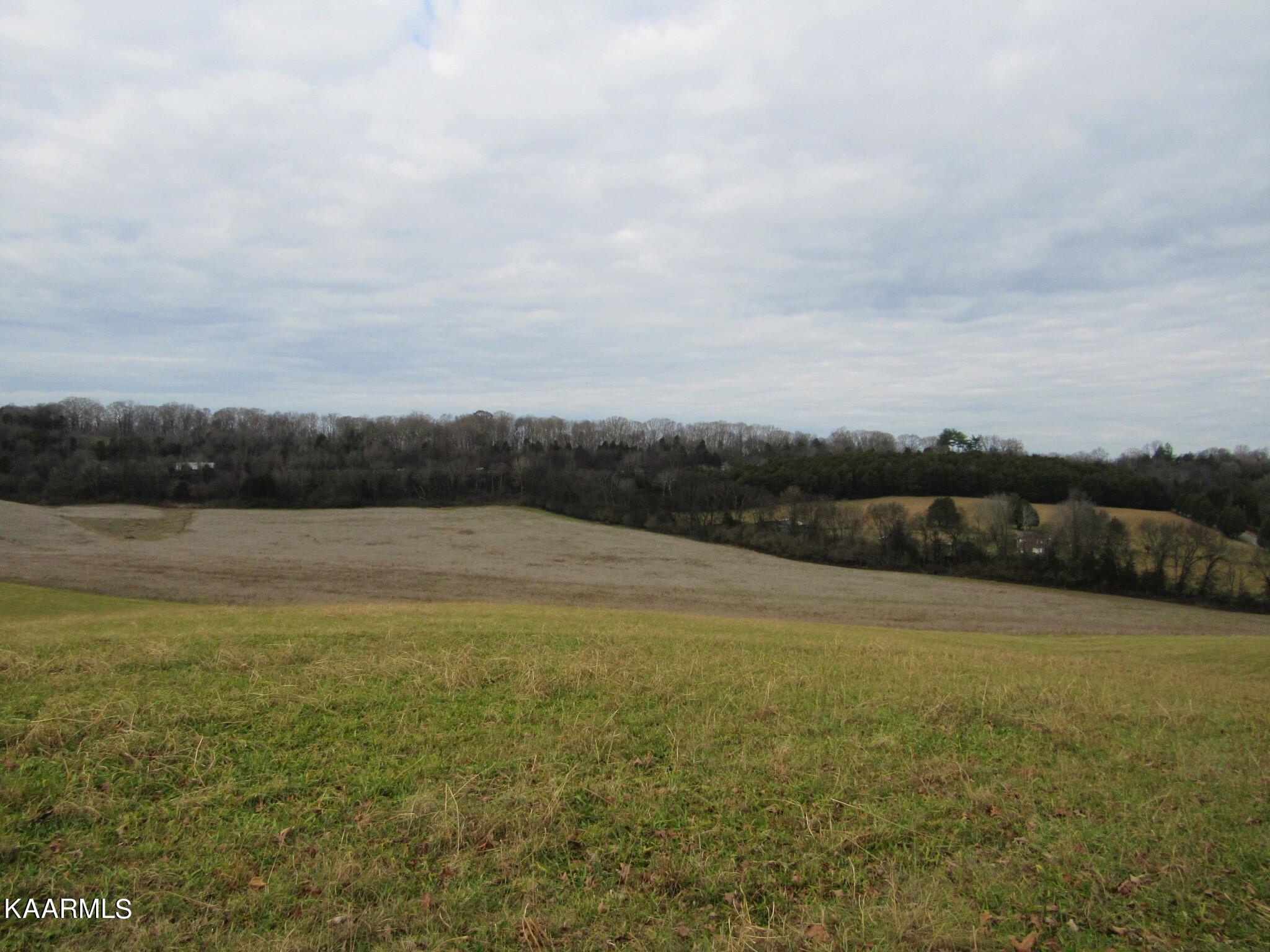 River Road Loudon, TN 37774 - Photo 1 of 34 IMG_3725 (2)